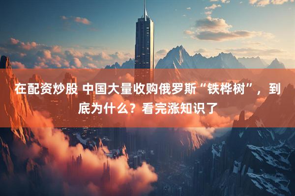 在配资炒股 中国大量收购俄罗斯“铁桦树”,到底为什么?看完涨知识了