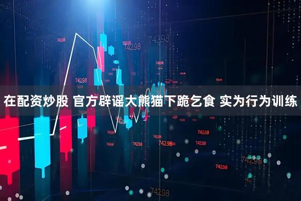 在配资炒股 官方辟谣大熊猫下跪乞食 实为行为训练