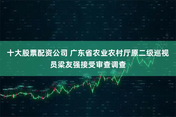 十大股票配资公司 广东省农业农村厅原二级巡视员梁友强接受审查调查