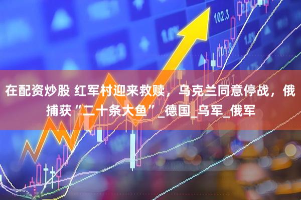 在配资炒股 红军村迎来救赎，乌克兰同意停战，俄捕获“二十条大鱼”_德国_乌军_俄军